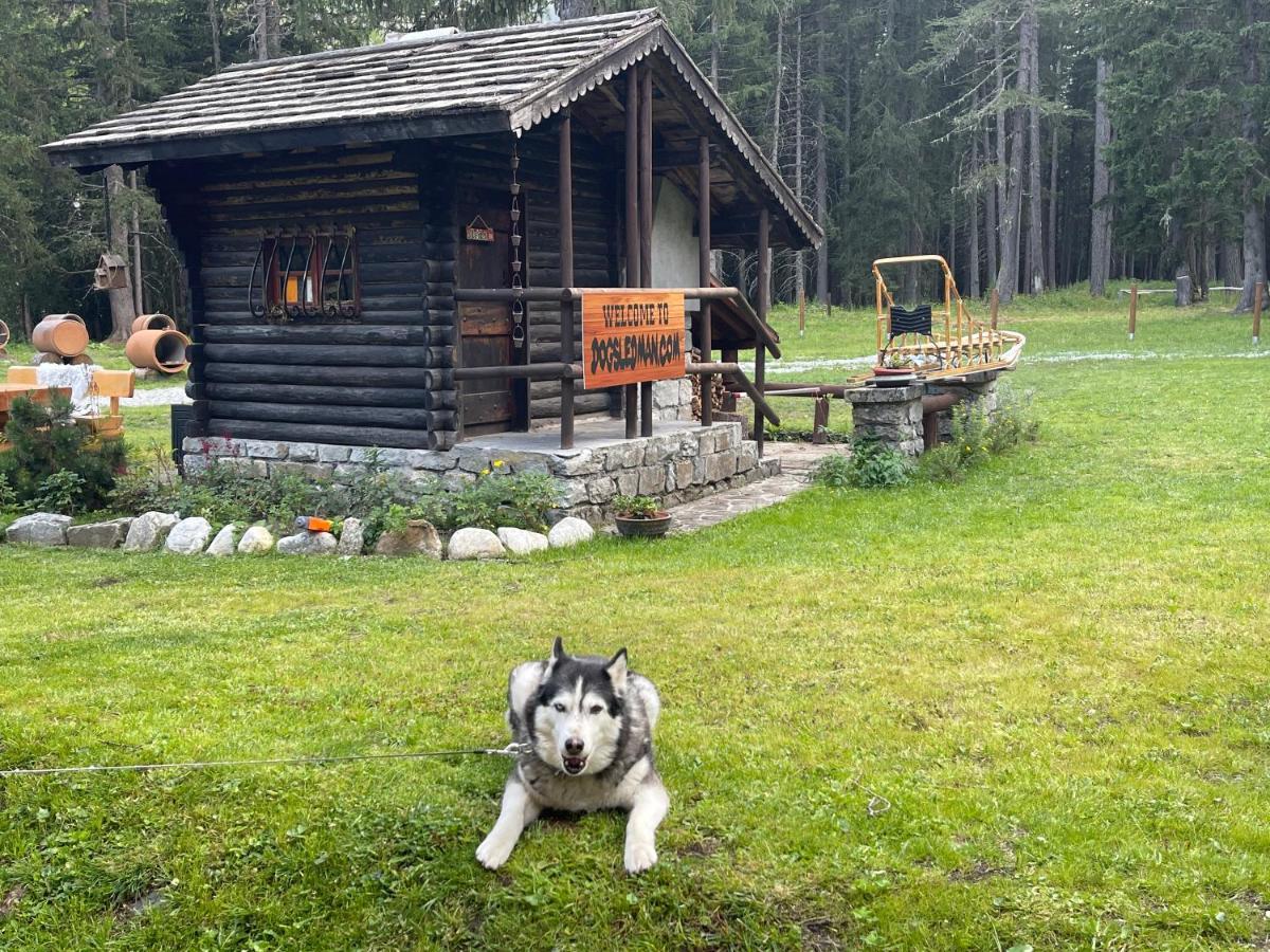 Wildhomes Wild Wolf Lodge Courmayeur Exterior photo
