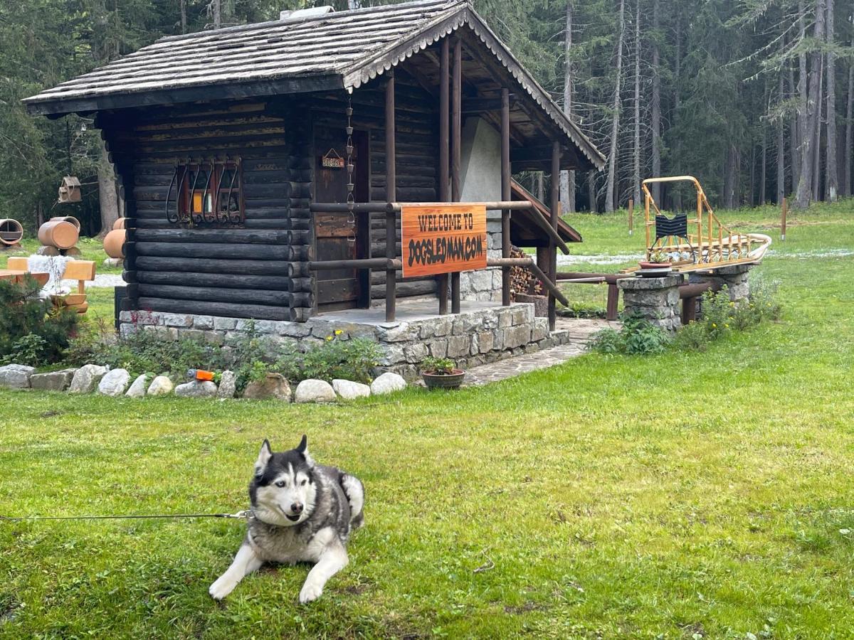 Wildhomes Wild Wolf Lodge Courmayeur Exterior photo